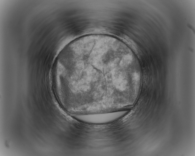 X0000097781382200804041205