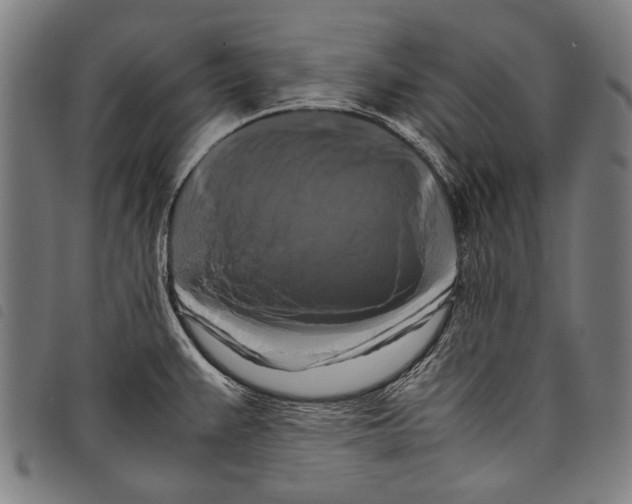 X0000097781383200804041205