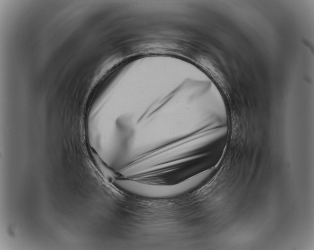 X0000097781384200804041205