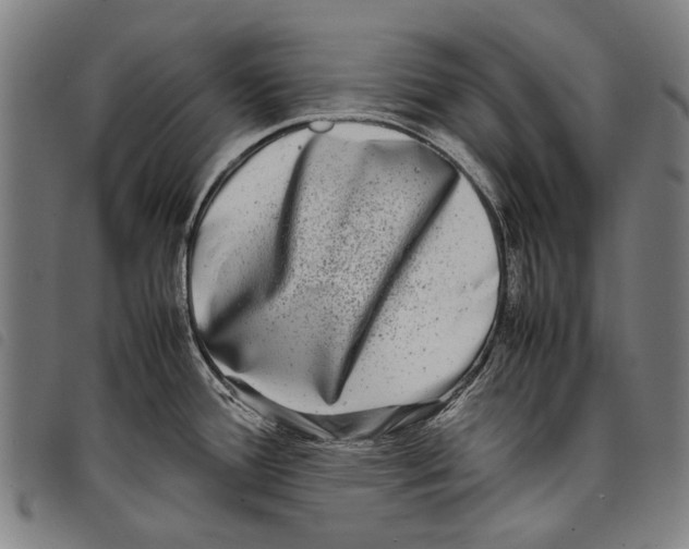 X0000097781388200804041205