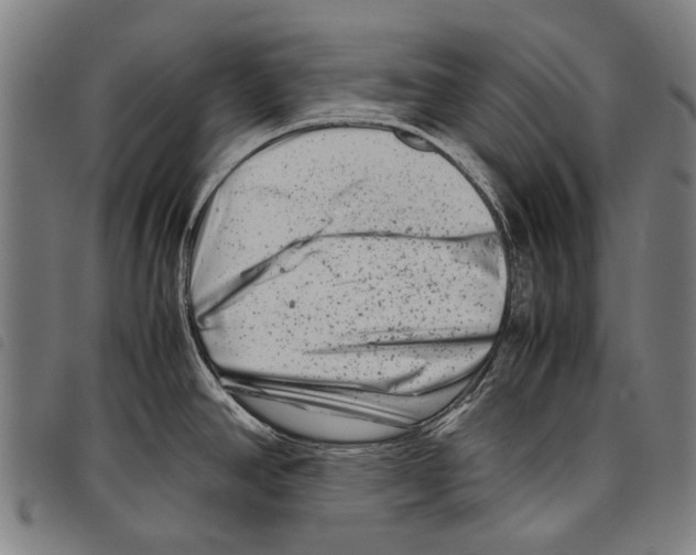 X0000097781390200804041204