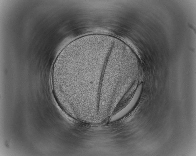 X0000097781391200804041204