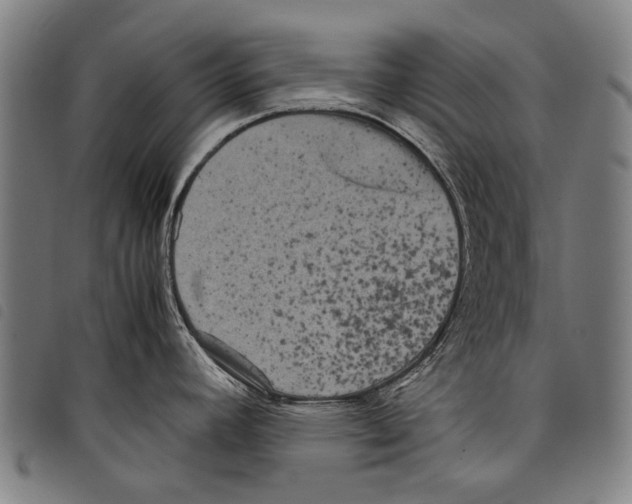 X0000097781392200804041204