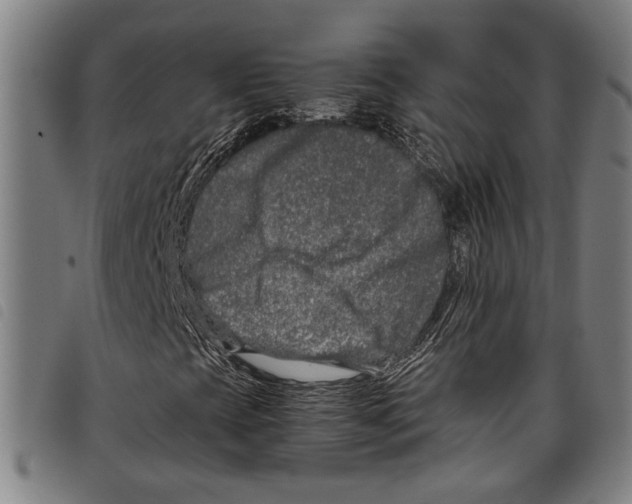 X0000097781393200804041204