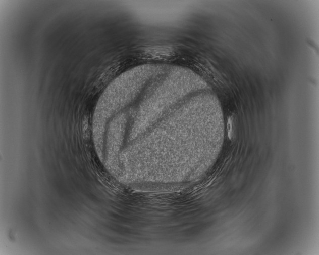 X0000097781395200804041204