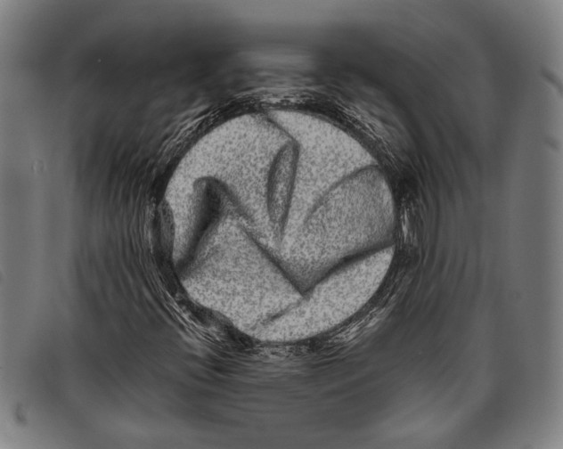 X0000097781396200804041204