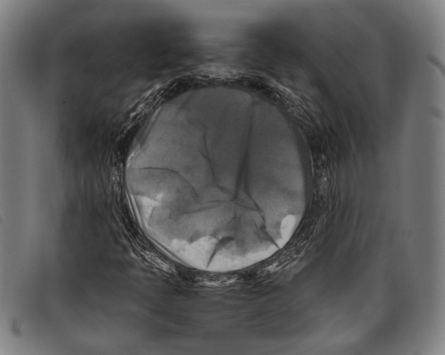 X0000097781397200804041204