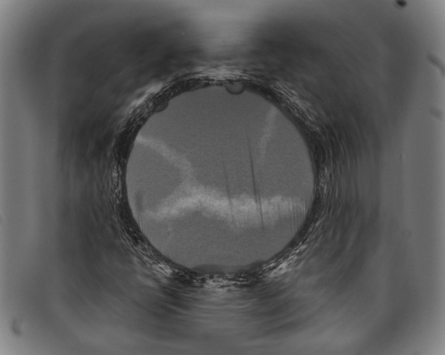 X0000097781398200804041204