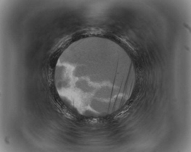 X0000097781399200804041204