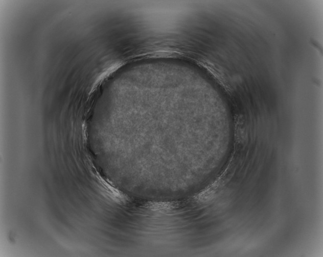 X0000097781402200804041204