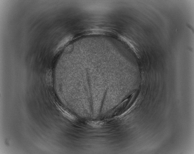 X0000097781403200804041204