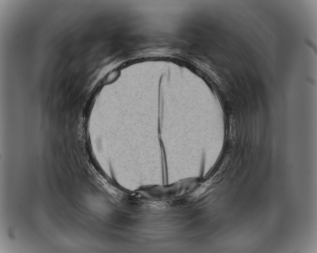 X0000097781404200804041204