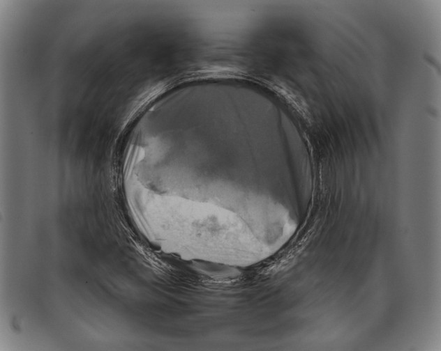 X0000097781405200804041204