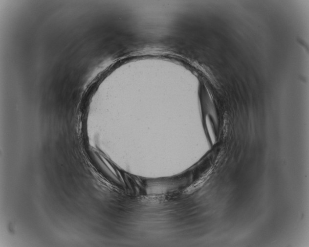 X0000097781406200804041204