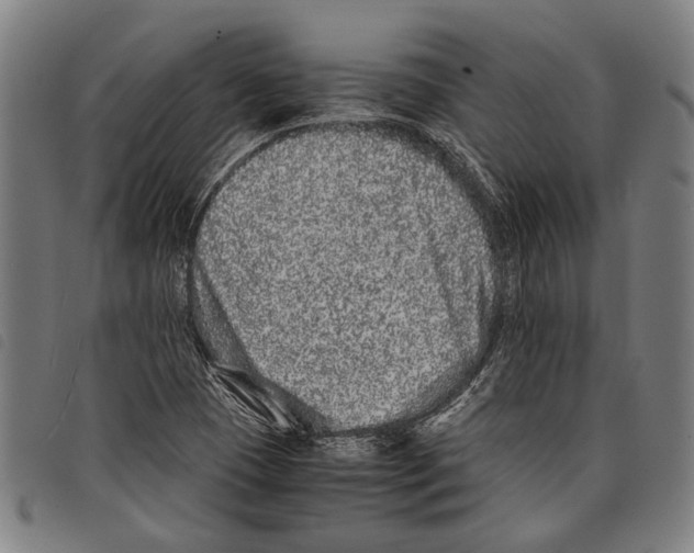 X0000097781409200804041204