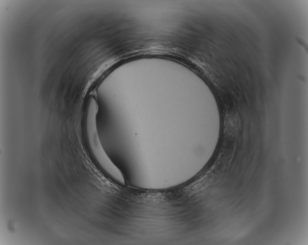 X0000097781410200804041204