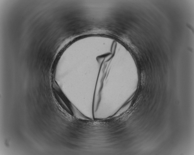 X0000097781412200804041204