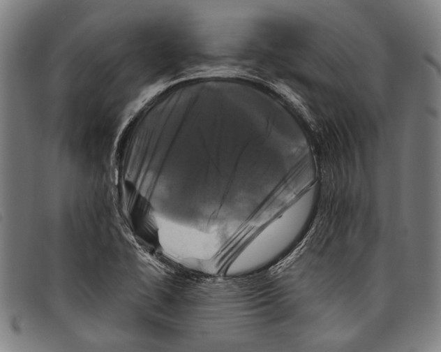 X0000097781414200804041204