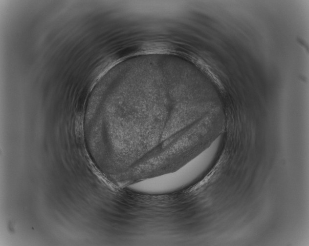 X0000097781417200804041204