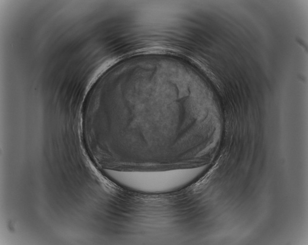 X0000097781418200804041204