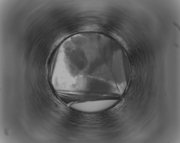 X0000097781419200804041204