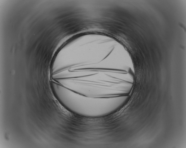 X0000097781420200804041204