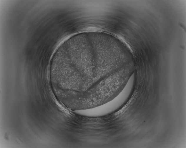 X0000097781421200804041204