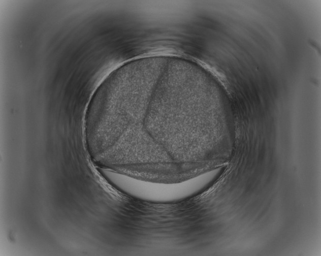 X0000097781423200804041204