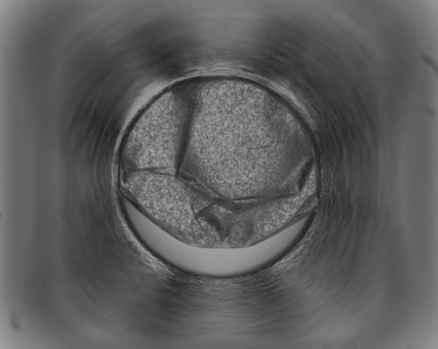 X0000097781424200804041204