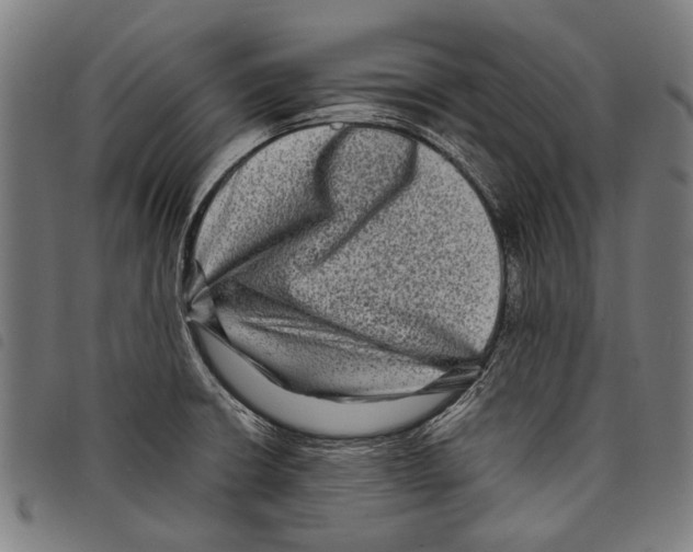 X0000097781426200804041204