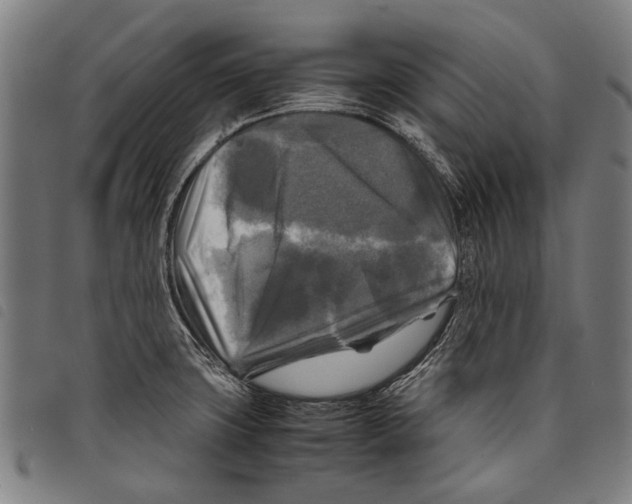 X0000097781427200804041204