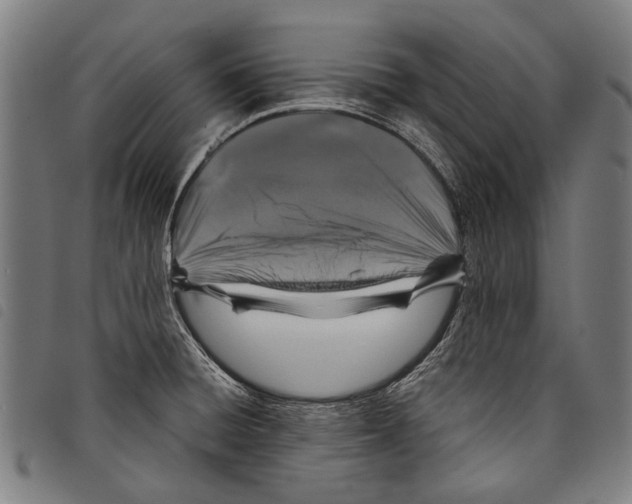 X0000097781428200804041204