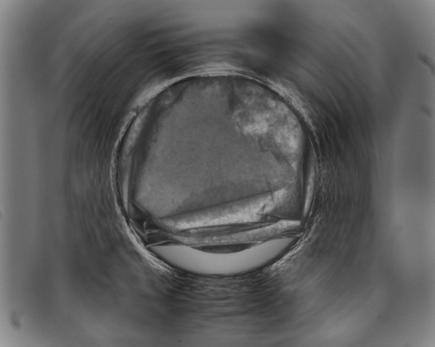 X0000097781429200804041204