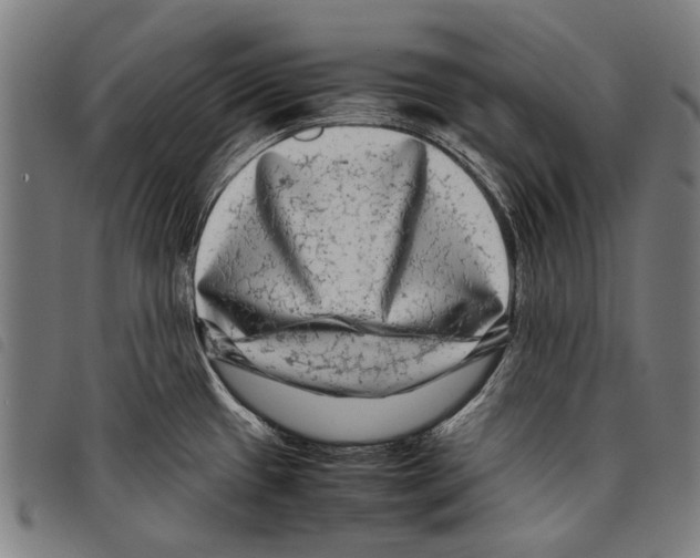 X0000097781433200804041204