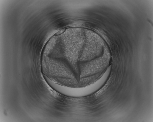 X0000097781434200804041204