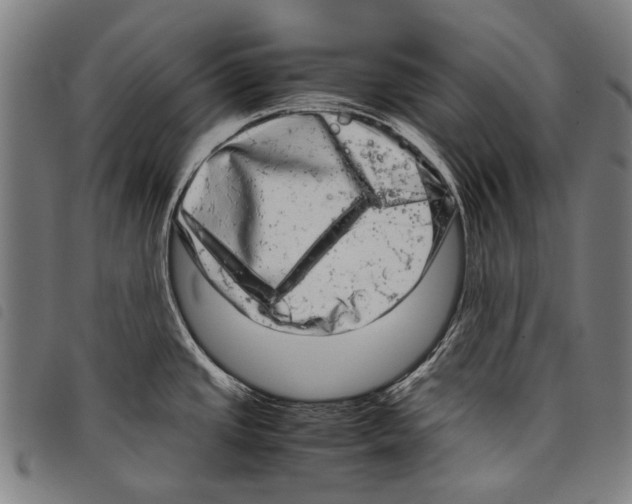 X0000097781437200804041204