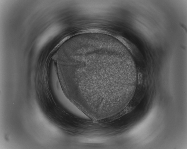 X0000097781438200804041204