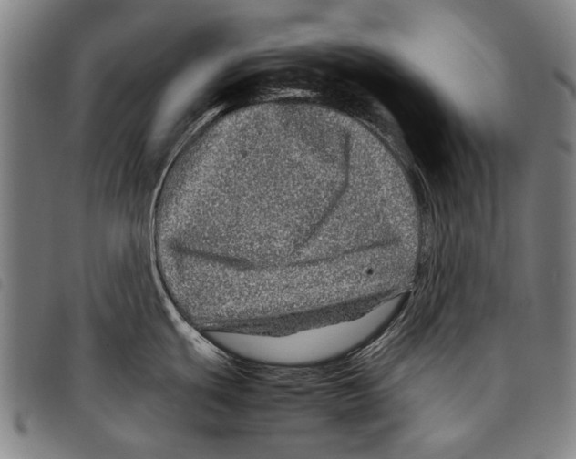 X0000097781439200804041204