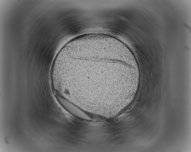 X0000097781440200804041204