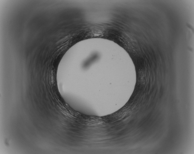 X0000097781442200804041204