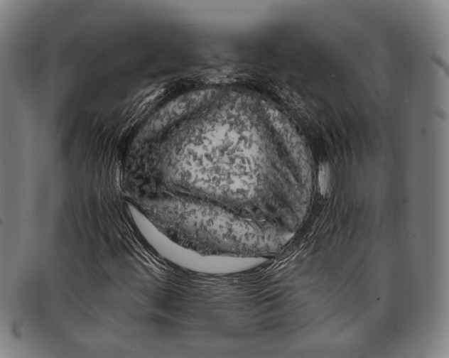 X0000097781444200804041204