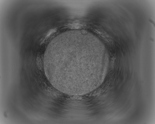 X0000097781446200804041204