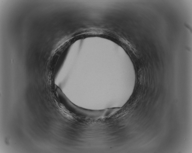 X0000097781448200804041204