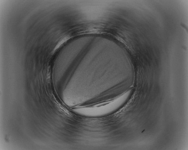 X0000097781450200804041204