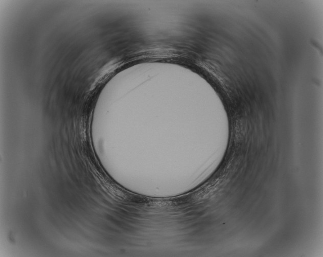 X0000097781451200804041204