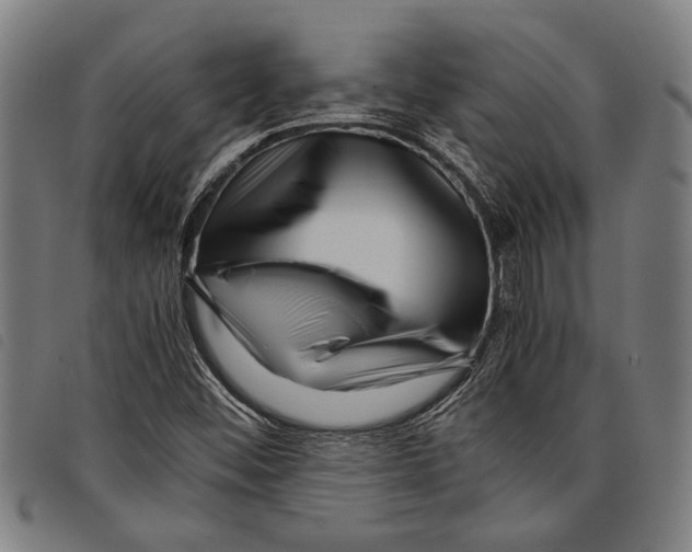 X0000097781452200804041204