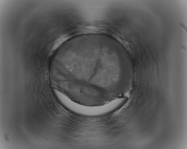 X0000097781453200804041204