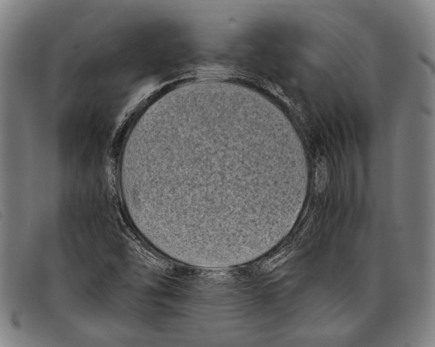 X0000097781454200804041204