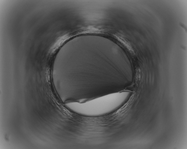 X0000097781455200804041204