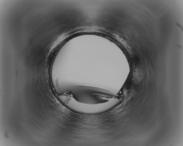 X0000097781456200804041204